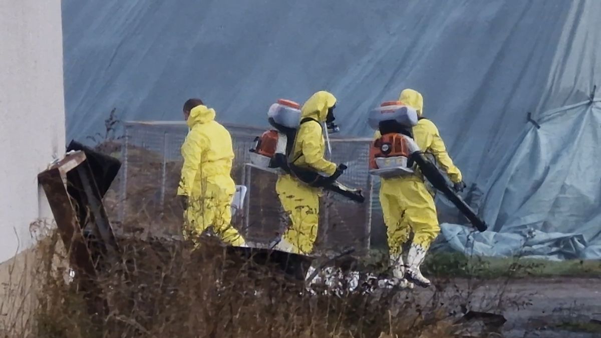 Týdenním kachňatům nic není, litoval při likvidaci velkochovu s ptačí chřipkou šéf farmy